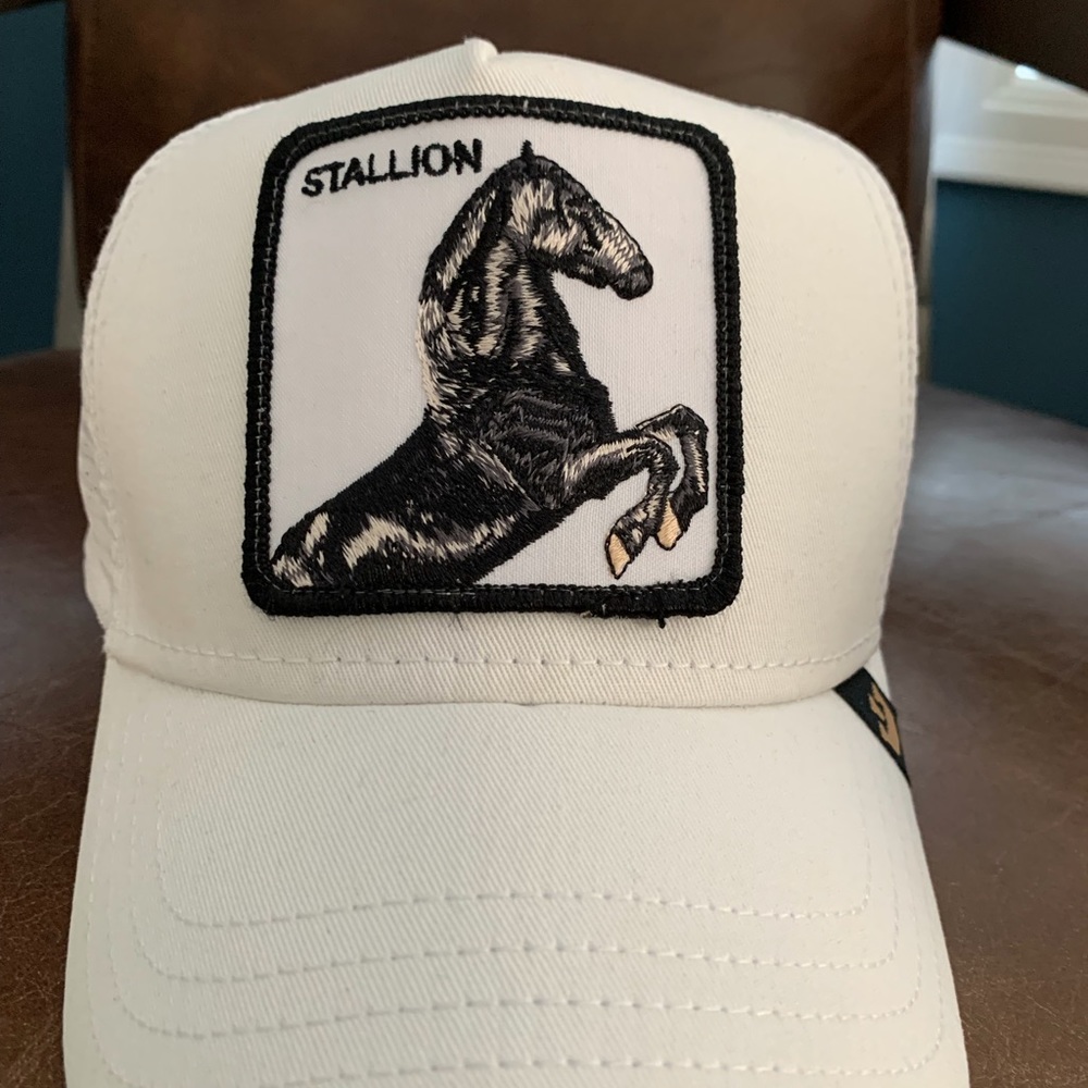 Goorin Brothers Stallion hat